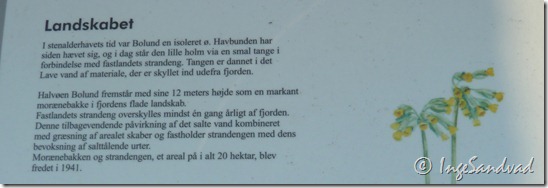 P1010807