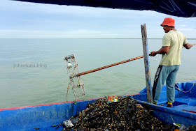 Where-do-Cockles-Come-from-Discover-Selangor-Heart-of-Malaysia