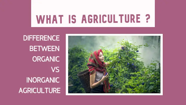 Agriculture क्या है | Organic VS Inorganic Agriculture में किया अंतर है