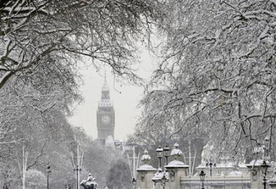 heavy snow, Tree with snow, Silver cover on tree