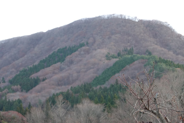 鳥取県日野郡江府町御机 城山