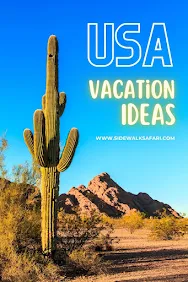 USA Vacation Ideas: Saguaro Cactus in the U.S. Southwest