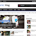 Dynamic Mag Blogger Template