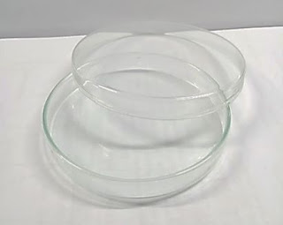 petri dish