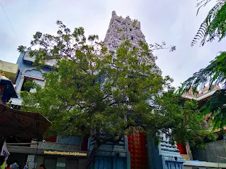 Skandagiri Lord Subrahmanya Swamy Temple Padmarao Nagar