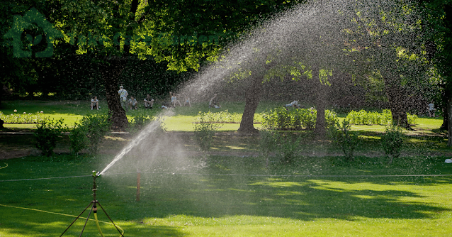 Garden-Irrigation-Tips-Keeping-Your-Green-Oasis-Healthy-and-Lush