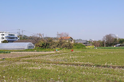 西野々古墳群(富田林市)