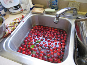 crabapples in sink