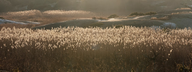 Naverfjorden