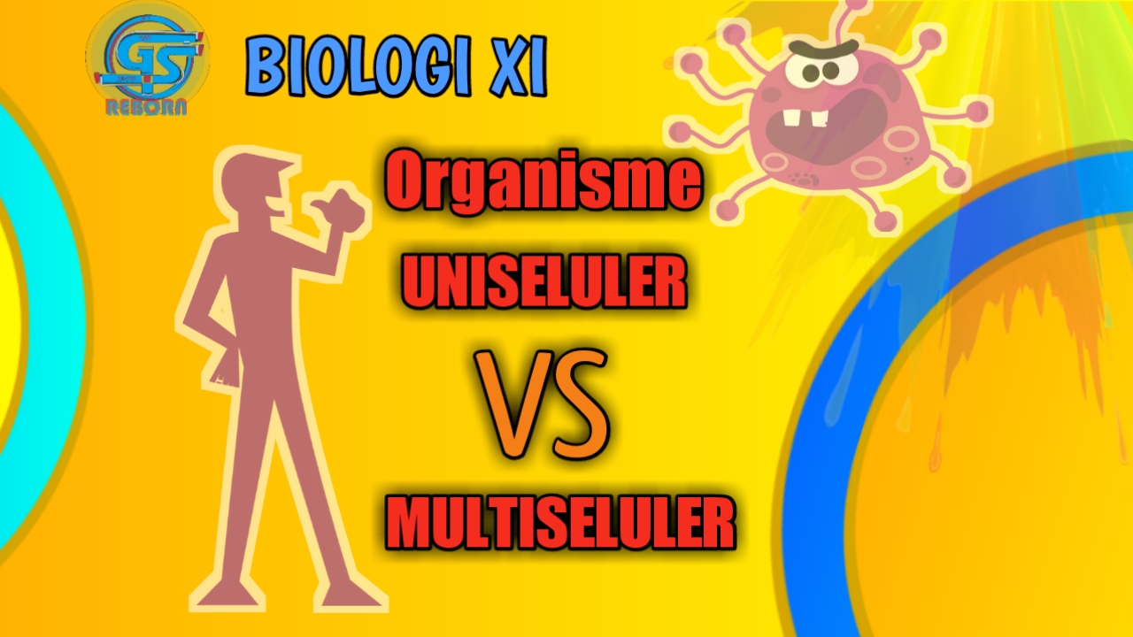 Mengenal Perbedaan Organisme Uniseluler dan Multiseluler  