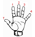 Playing a Scale