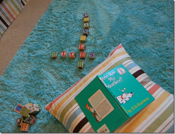 nursery 173
