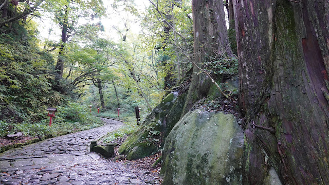 鳥取県西伯郡大山町大山 大神山神社奥宮 参道