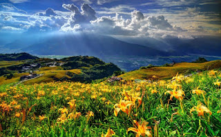 Karadeniz Ruhunu En İyi Yaşatan Yerler Giresun Yayla Görsel ile ilgili görseller Giresun Yayla Haberleri Giresun Yayla Son Dakika Gelişmeleri Ziyaret Etmenizi Bekleyen, Cennetin Yeryüzündeki Yansıması Giresun Yaylaları Giresun Yaylaları Gezilecek Yerler Tertemiz havası ve Muhteşem Doğa Oksijene Doyacağınız Güzide Karadeniz Yaylası