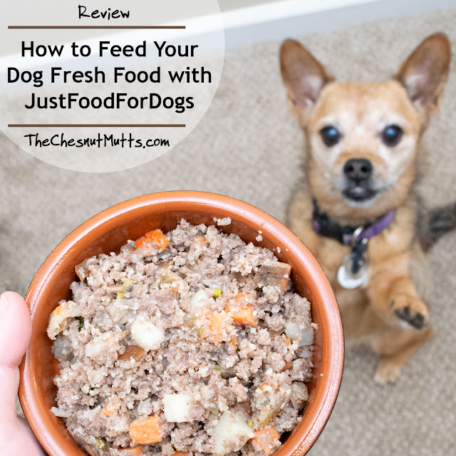 Review: How to Feed Your Dog Fresh Food with JustFoodForDogs