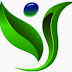 Head of Marketing & Merchandising