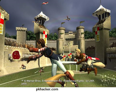 Harry Potter Quidditch World Cup Compressed Game