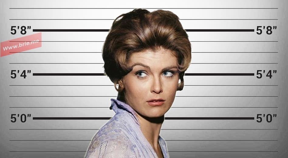 Patricia Blair Height - Brie