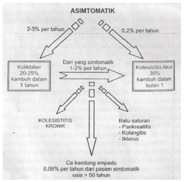 Gambaran progresi penyakit kandung empedu yang berlanjut, asimtomatik, kolik bilier per tahun, kolesistitis kronik, batu saluran, pankreatitis, kolangitis, ikterus, karsinoma kandung empedu, Ca, usia > 50 tahun