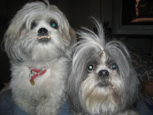 Griffin and Gracie Lou