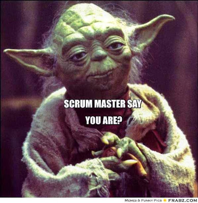 The Scrum master role (advanced)