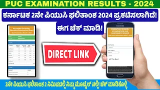 Karnataka 2nd PUC Results 2024 Out Now! Check Your Scores Online