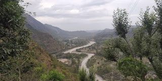 आओ इस प्रकृति को हम बचाए  [कविता]- रचना सागर