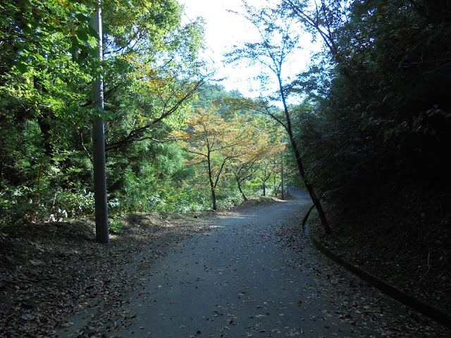 丸山ふれあいの森キャンプ場へ歩きます