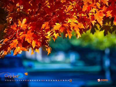 Smshing Magazine - Free desktop wallpaper calendar October 2013