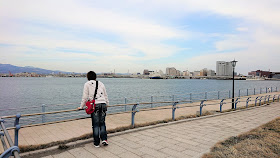 北海道 函館 緑の島 ベイエリア