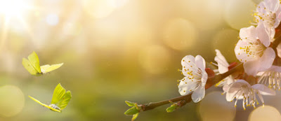 Auguri di Buona Pasqua