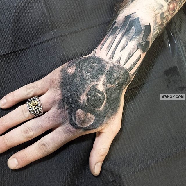 100 ± Gambar Tato 3D Anjing Serigala Hewan Pemburu, Juga 