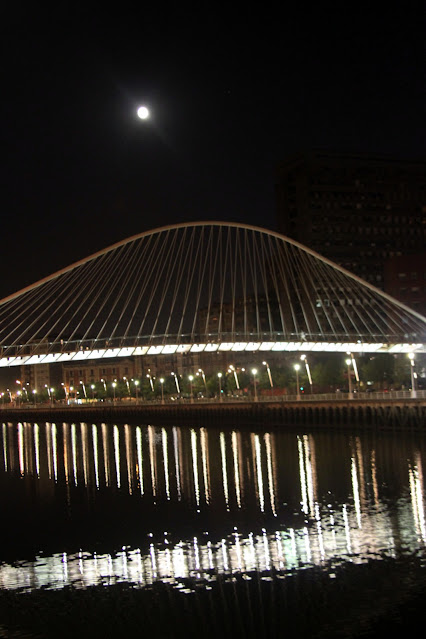 Ponte di Calatrava di notte-Bilbao