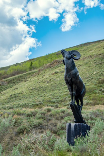 Big Horn Sheep Sculpture National Museum of Wildlife Art Jackson Wyoming Grand Tetons National Park