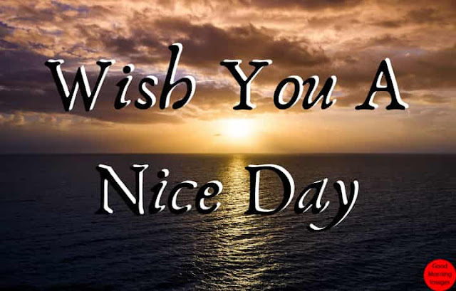 wish you Have a nice day