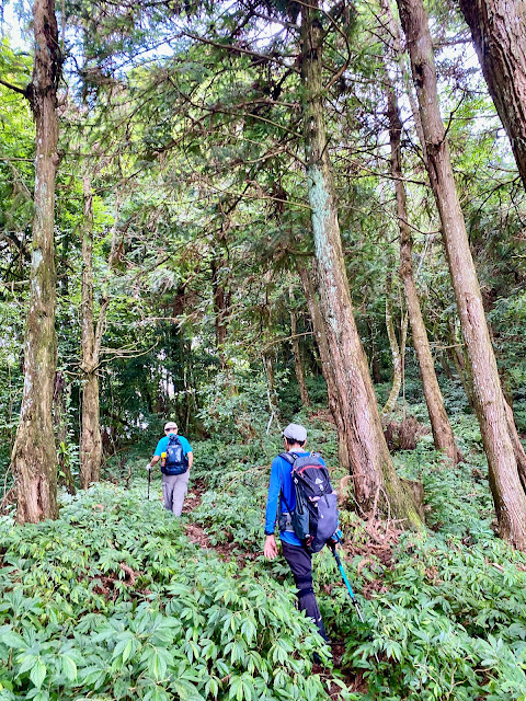 往遠藤山東峰