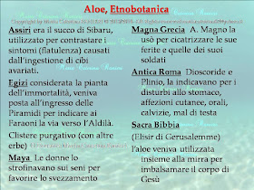 Un viaggio etnobotanico dalle antiche civiltà ad oggi per scoprire come trarre benefici dalle piante che ci circondano e a noi familiari. Dall’abete allo zafferano - viaggiando tra cenni di anatomia fisiologia vegetale e farmacognosia (studio dei principi attivi) - vedremo come fare idroliti sciroppi oleoliti unguenti e tante altre preparazioni utili alla depurazione  alla prevenzione e al mantenimento della nostra salute e perché no  a coccolarci un pò! Sfioreremo i segreti dell’aromaterapia della gemmoterapia e della fitoalimurgia scoprendo quale deliziosa erbetta potrà finire nel nostro piatto. Porteremo le piante in laboratorio per trasformarle in preparazioni utili alla nostra bellezza alla nostra igiene e alla nostra casa. La curiosità viaggerà con noi e un pizzico di magia avvolgerà sempre questo nostro viaggio nel meraviglioso Mondo Vegetale. Il corso è di base ed è adatto ai principianti il materiale didattico non è incluso. La durata del corso è di 12 lezioni. La docente Maria Caterina Ranieri, ©dierbainerba.blogspot.it – Maria Caterina Ranieri – all rights reserved ॐ