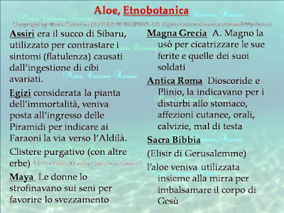 Un viaggio etnobotanico dalle antiche civiltà ad oggi per scoprire come trarre benefici dalle piante che ci circondano e a noi familiari. Dall’abete allo zafferano - viaggiando tra cenni di anatomia fisiologia vegetale e farmacognosia (studio dei principi attivi) - vedremo come fare idroliti sciroppi oleoliti unguenti e tante altre preparazioni utili alla depurazione  alla prevenzione e al mantenimento della nostra salute e perché no  a coccolarci un pò! Sfioreremo i segreti dell’aromaterapia della gemmoterapia e della fitoalimurgia scoprendo quale deliziosa erbetta potrà finire nel nostro piatto. Porteremo le piante in laboratorio per trasformarle in preparazioni utili alla nostra bellezza alla nostra igiene e alla nostra casa. La curiosità viaggerà con noi e un pizzico di magia avvolgerà sempre questo nostro viaggio nel meraviglioso Mondo Vegetale. Il corso è di base ed è adatto ai principianti il materiale didattico non è incluso. La durata del corso è di 12 lezioni. La docente Maria Caterina Ranieri, ©dierbainerba.blogspot.it – Maria Caterina Ranieri – all rights reserved ॐ