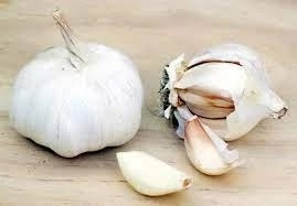 Opened garlic bulb with garlic clove, Benefits of Garlic