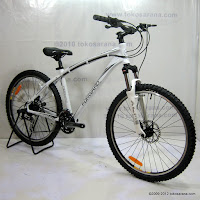 D 26 Inch Forward Abramo 1.0 HardTail Mountain Bike