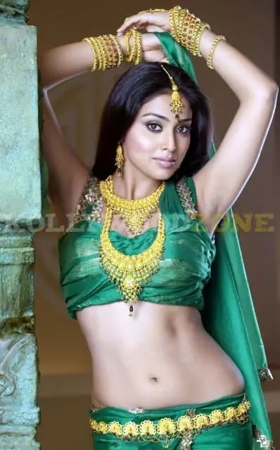 Shriya Saran Images