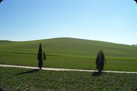 Val_d'orcia_-pienza