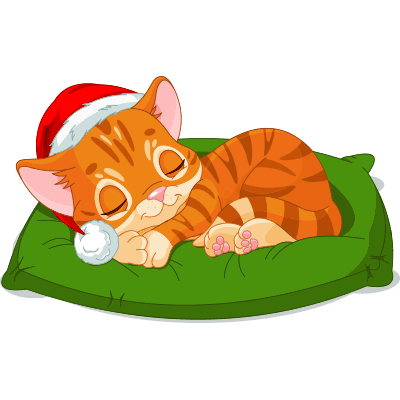 Santa Cat