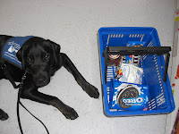 Picture of Rudy in a down-stay in coat, beside him (on the right) is a shopping basket... the main thing visible is oreos!