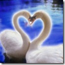romance