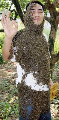 Man covered with bees