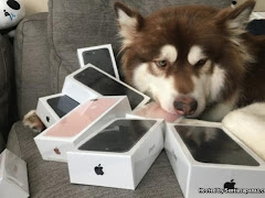 Jutawan Hadiahkan Anjing Peliharaan 8 Smartphone iPhone 7!