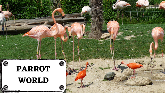Parc animalier immersif Parrot World