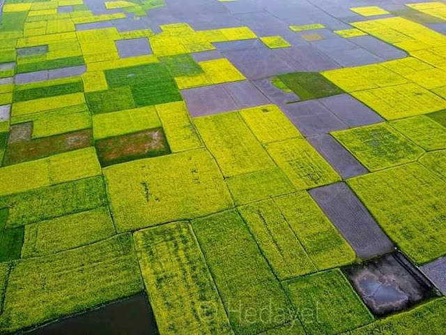 ফেসবুক প্রোফাইল পিকচার, ফেসবুক প্রোফাইল পিক, ফেসবুক প্রোফাইল পিকচার ডাউনলোড, ভিআইপি ফেসবুক প্রোফাইল পিক, ফেসবুক প্রোফাইল পিকচার স্ট্যাটাস, ফেসবুক প্রোফাইল পিকচার ক্যাপশন, ফেসবুক প্রোফাইল পিকচার ক্যাপশন বাংলা, মেয়েদের ফেসবুক প্রোফাইল পিকচার, মেয়েদের ফেসবুক প্রোফাইল পিক, ফেসবুক প্রোফাইল পিকচার মেয়েদের, ফেসবুক প্রোফাইল পিক মেয়েদের, মেয়েদের ফেসবুক প্রোফাইল পিকচার ডাউনলোড, মেয়েদের ফেসবুক প্রোফাইল পিকচার hd, ছেলেদের ফেসবুক প্রোফাইল পিকচার, ছেলেদের ফেসবুক প্রোফাইল পিক, ফেসবুক প্রোফাইল পিকচার ছেলেদের, ফেসবুক প্রোফাইল পিক ছেলেদের, ফেসবুক প্রোফাইল পিকচার ডাউনলোড ছেলেদের, ইসলামিক ফেসবুক প্রোফাইল পিকচার ছেলেদের