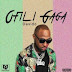 DOWNLOAD MP3: Davido – Ofili Gaga (Prod. By Fresh) 2018 